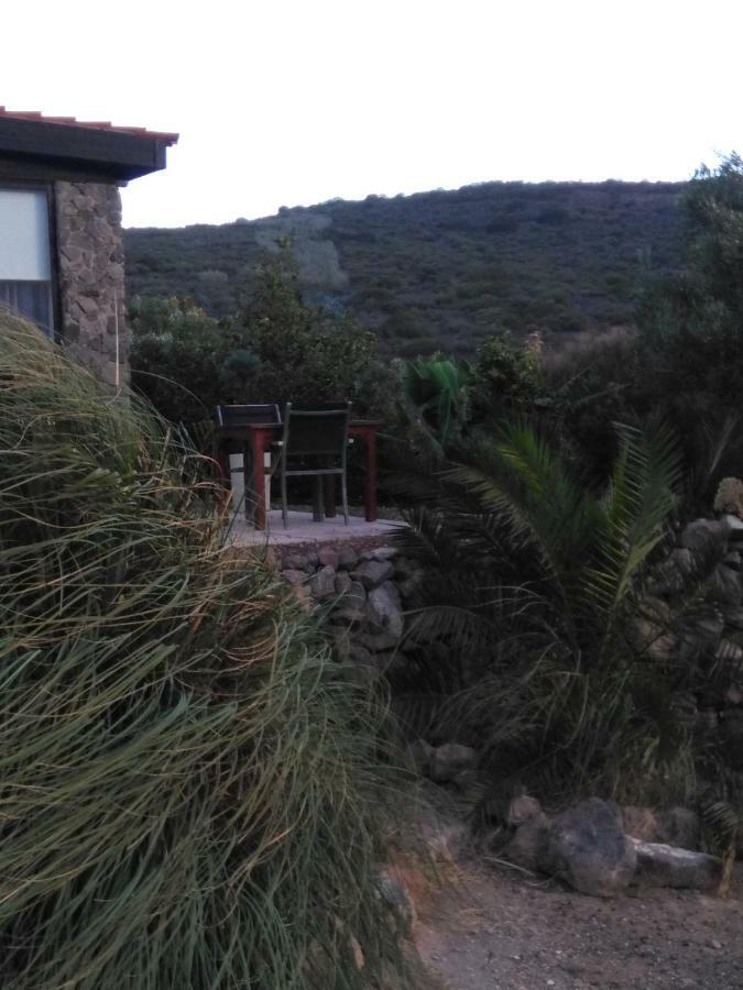 Casa Vista Bandama Vivienda Vacacional Tafira Zewnętrze zdjęcie